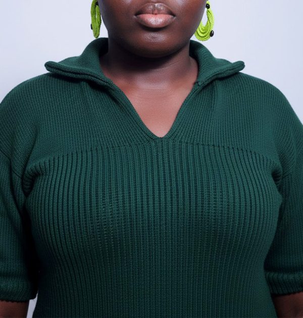 Modefit Collar Dress